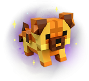 Pets